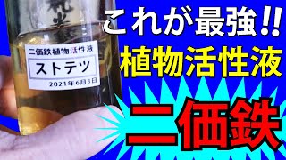 【液肥】これが最強‼ 植物活性液 【二価鉄、アミノ酸】【家庭菜園、園芸】 [upl. by Enelak]