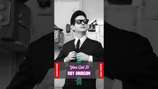 Roy Orbison  You Got It lyrics 60s music [upl. by Acinad449]