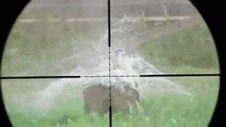 Scope cam 22lr test [upl. by Ahsirahc]