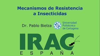 Mecanismos de resistencia a insecticidas [upl. by Epilif]