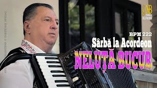 NELUTA BUCUR  Sarba la acordeon 2 oficial video [upl. by Nawed]