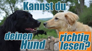 Hunde richtig lesen Körpersprache verstehen [upl. by Reiter]