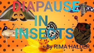 Diapause of Insects  Entomology  Zoology  Biology [upl. by Aninaig]