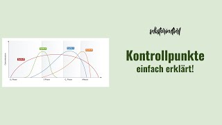 Kontrollpunkte des Zellzyklus einfach erklärt  Bedeutung von Cyclinen und Entstehung von Krebs [upl. by Ierbua]