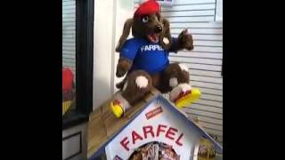 Farfel The Talking Nestle Dog [upl. by Nesyaj]