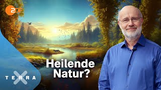 Harald Lesch  und die unterschätzte Klimachance  Terra X Harald Lesch Ganze TVFolge [upl. by Ymled414]