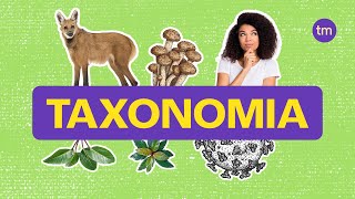 Taxonomia  Como classificar os seres vivos [upl. by Ominoreg738]