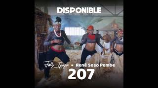 FALLY IPUPA 207  CLIP OFFICIEL  2024 [upl. by Erdnassak]