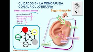 71 Auriculoterapia puntos para la menopausia Segunda parte Curso de auriculoterapia Centro IMG [upl. by Razid]