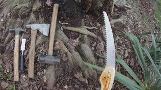 Girdling Root Removal  RED MAPLE Tree [upl. by Ettenom]