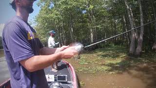 Calcasieu River 1st place and big bass [upl. by Idnek]