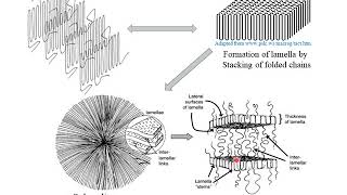 Polymer Crystallization [upl. by Nosimaj]