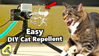 Best Cat Repellent For Garden  Keep Those Pesky Cats Away [upl. by Akyssej]