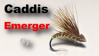 Caddis emerger fly [upl. by Rapsac]