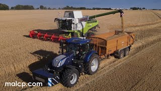 Harvest 2022 Claas Lexion 750 with Vario 930 header cutting barley in Hollesley Suffolk [upl. by Rafaj]