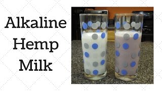 Hemp Milk DrSebi Alkaline Electric Recipe [upl. by Meghan119]