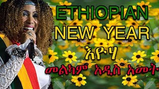 Aster Aweke  Eyoha Abebaye  አስቴር አወቀ  እዮሃ አበባዬ [upl. by Sihtnyc]