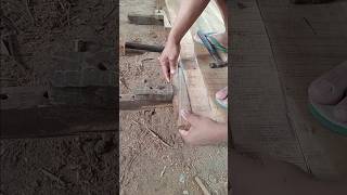 glue the acacia wood planks shorts virals fyp carpenter woodworking trendingshorts [upl. by Warenne568]