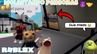 BROOKHAVEN MOLESTANDO PERSONAS 😈🤣 Roblox [upl. by Netsryk]