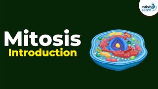 Introduction to Mitosis  Dont Memorise [upl. by Eitteb]