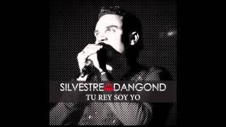 Tu Rey Soy Yo Silvestre Dangond amp Rolando Ochoa  Audio [upl. by Cameron]