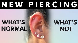 New Piercing Whats Normal Whats Not Things to Look Out For [upl. by Hube]