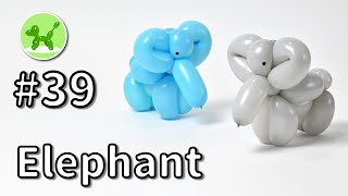 Elephant  Balloon Animals for Beginners 39  バルーンアートの基本 39 ゾウ [upl. by Richter326]