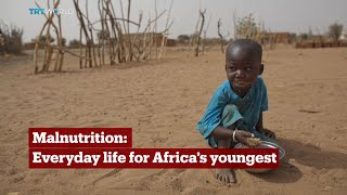 TRT World  World in Focus Malnutrition Everyday life for Africa’s youngest [upl. by Raseta]