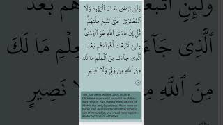 Quran  Surah AlBaqarah 02 Verse 120 Mahmoud Khalil AlHussary quran husary shorts recitation [upl. by Shelah81]