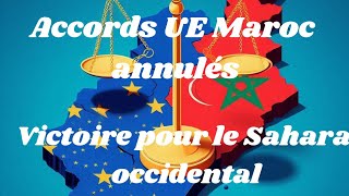 Annulation des accords commerciaux UEMaroc  Quel impact sur le Sahara Occidental quot [upl. by Alenas]