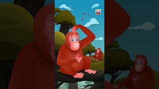 Asian Elephant Song Orangutan Bonobo Shorts ChuChuTV KidsSongs animalshorts endangeredanimals [upl. by Afinom]