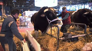 Une année aux côtés des agriculteurs français  le Salon de lAgriculture à Paris [upl. by Mehala]