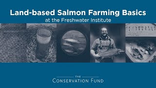 Landbased Salmon Farming Basics [upl. by Ataeb]