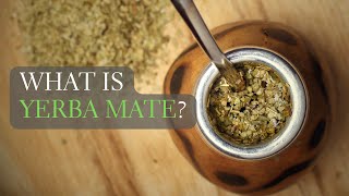 What is Yerba Mate Yerba Mate Facts and More [upl. by Skylar]