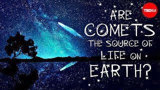 Could comets be the source of life on Earth  Justin Dowd [upl. by Eachern]