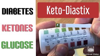 How to use Keto Diastix for pets [upl. by Dibru949]