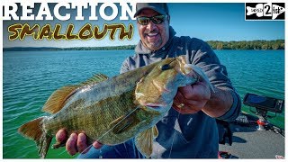 The Best AllAround Smallmouth Bass Presentation [upl. by Kelly]