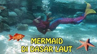 WAH ADA MERMAID DI DASAR LAUT BERENANG SAMA IKAN ASLI 😍 [upl. by Audrit]