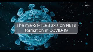 The miR21TLR8 axis on NETs formation in COVID19 [upl. by Fidele]