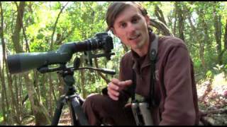 How to Choose a Spotting Scope for Digiscoping [upl. by Czarra961]