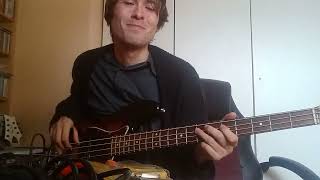 RHCP  Mellowship Slinky In B Major bass cover [upl. by Aerdnaek]