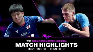 Tomokazu Harimoto vs Anton Kallberg  MS R16  WTT Champions Montpellier 2024 [upl. by Horodko603]