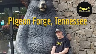 Discovering Pigeon Forge Tennessee [upl. by Weeks987]