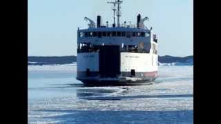 Herring NeckFogo Island March 2012 125MOV [upl. by Arron498]