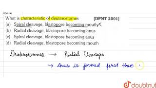 What is characteristic of deuterostomes [upl. by Chlores275]