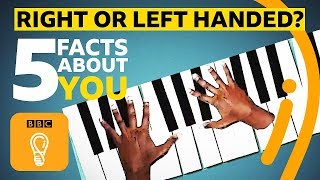 Right or lefthanded 5 facts about you  BBC Ideas [upl. by Alicirp205]