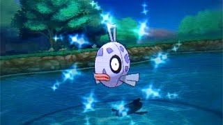 How to easily chain for Shiny Feebas in Pokemon Omega RubyAlpha Sapphire LIVE SHINY [upl. by Dina142]