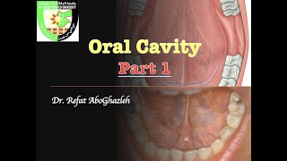 Oral Cavity  Part 1 [upl. by Polly297]