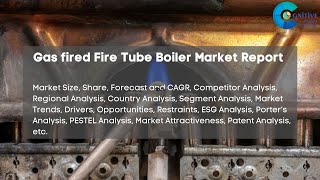 Gas fired Fire Tube Boiler Market Report [upl. by Okoy]