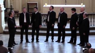 Klapa Motovun performing Vilo moja [upl. by Serrano]